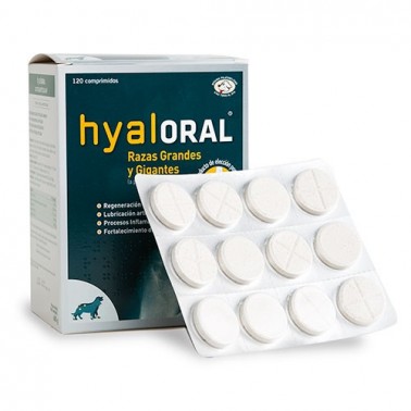 Hyaloral Condroprotector Para Razas Grandes y Gigantes