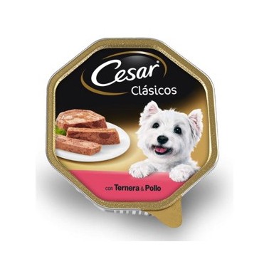 CESAR CLÁSICO PERRO PATÉ CON TERNERA Y POLLO TARRINA DE 150g