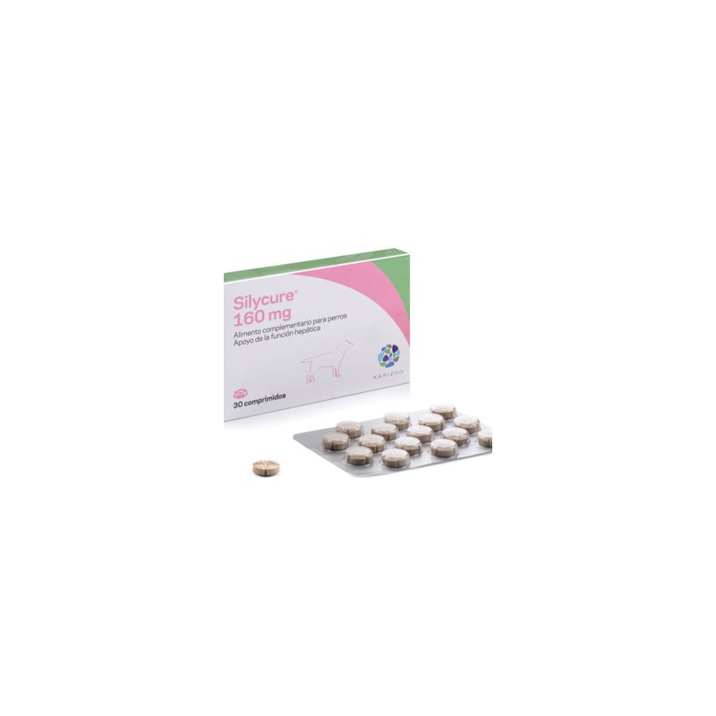 SILYCURE 160mg 30 COMPRIMIDOS