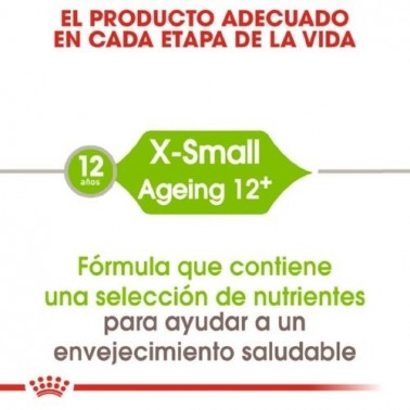 Royal Canin X-Small Ageing 12 / 1,5 kg