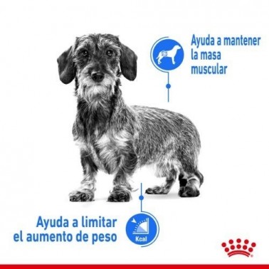 Royal Canin Light Weight Care X-Small 1,5 kg