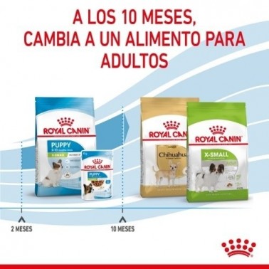 Royal Canin X-Small Puppy pienso para cachorro