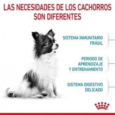 Royal Canin X-Small Puppy pienso para cachorro