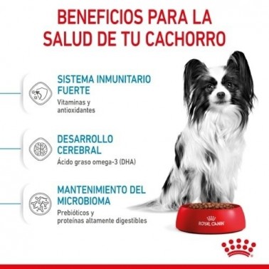 Royal Canin X-Small Puppy pienso para cachorro