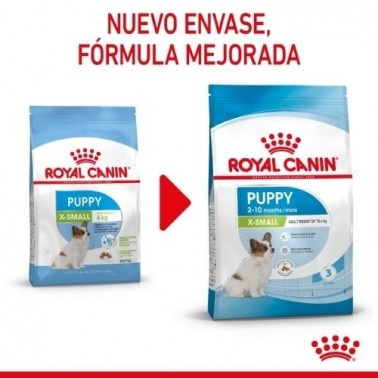 Royal Canin X-Small Puppy pienso para cachorro