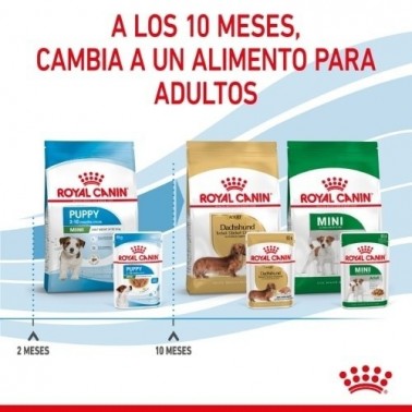 Royal Canin Comida húmeda  Puppy Mini