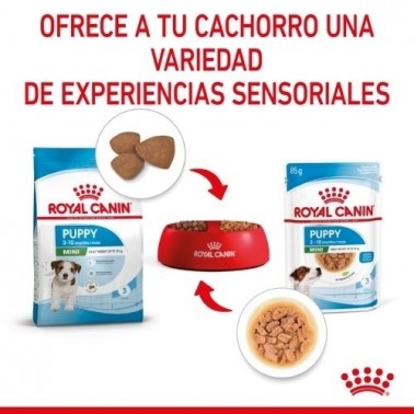 Royal Canin Comida húmeda  Puppy Mini