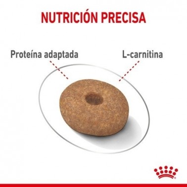 Royal Canin Light Weight Care pienso seco para perro adulto mini