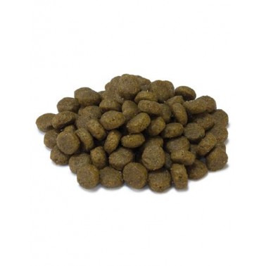 Arquivet - Adult - Pienso para gatos - Pescado blanco y atún - 350 g