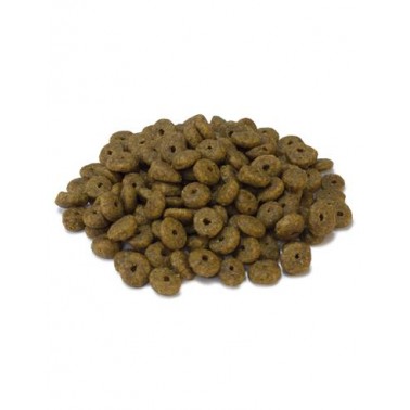 Arquivet - Kitten - Pienso para gatitos - Pavo - 1,5 kg