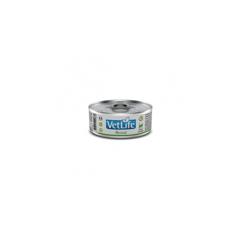 VETLIFE CAT RENAL 12X85G