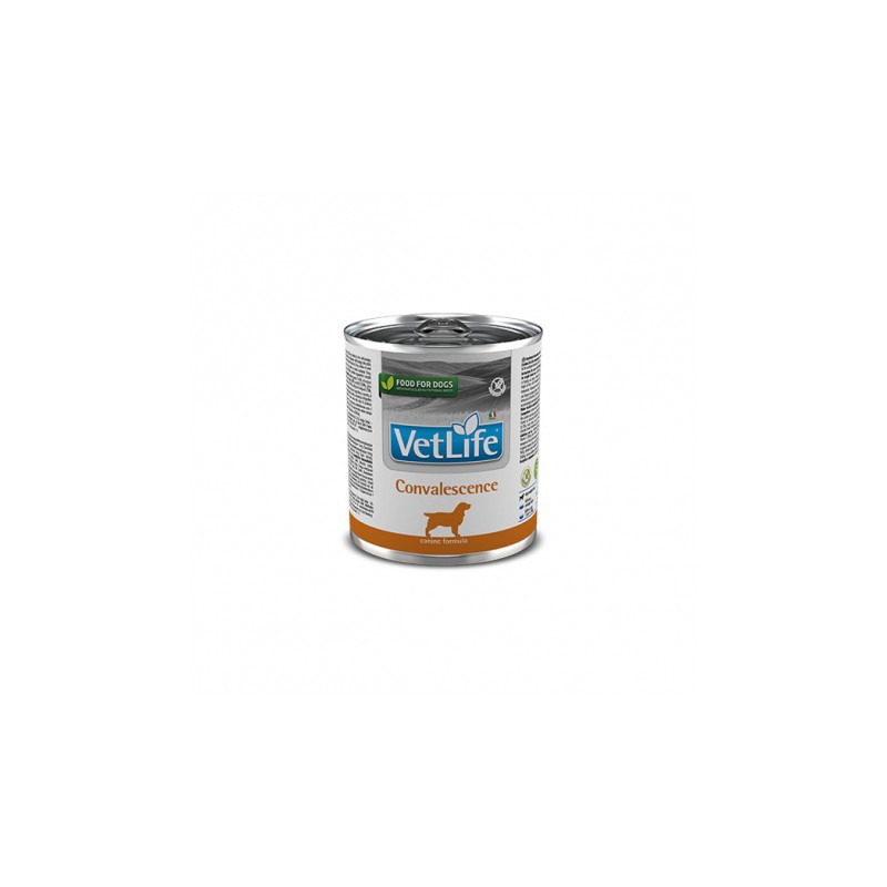 VETLIFE DOG CONVALESCENCE 6X300G