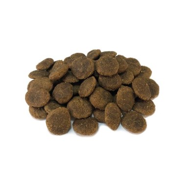 Arquivet-Pienso para perros-Grain Free-Adult-Pavo-12 kg