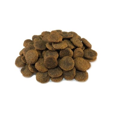 Arquivet-Pienso para perros-Grain Free-Adult-Salmón y atún-12 kg