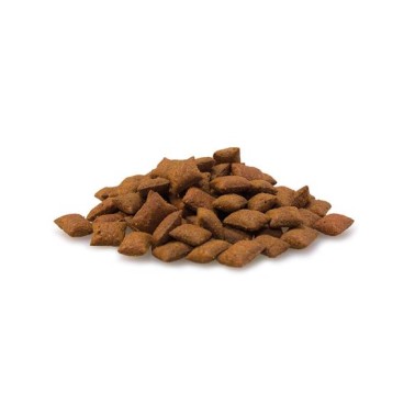 Malt Bits - 40 g