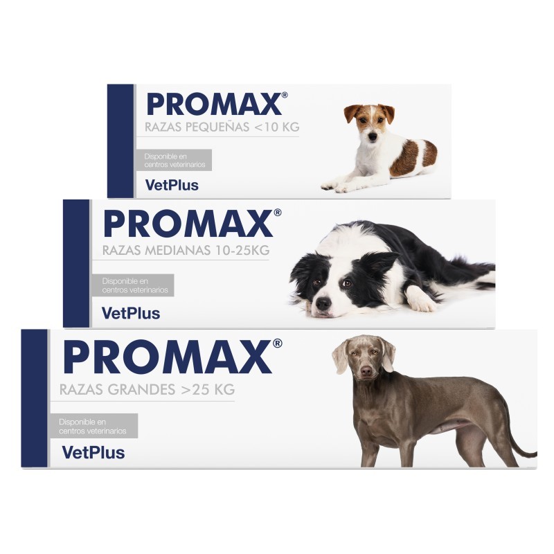 PROMAX Mejora Gastrointestinal Complemento para perros y gatos